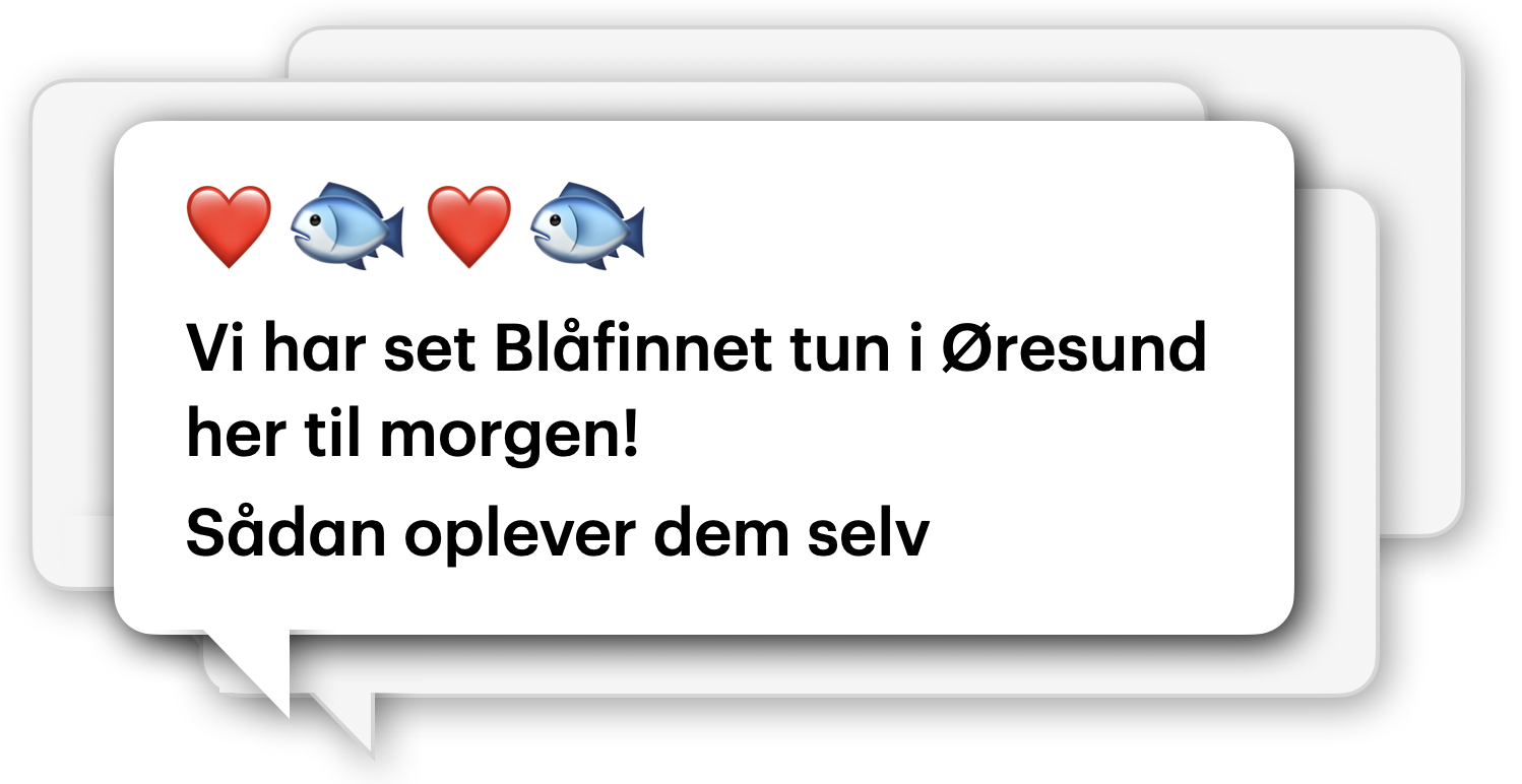 Naturvarsler notification